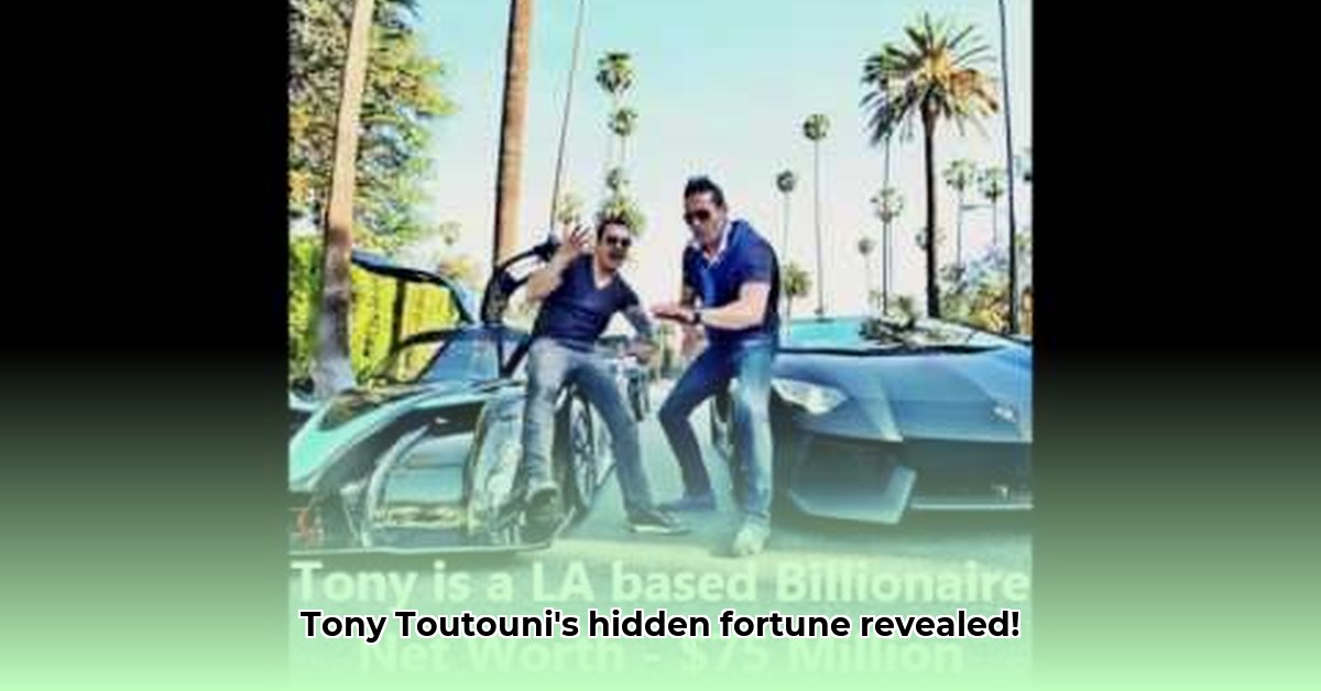 tony-toutouni-net-worth